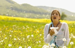 Kevesebb a pollen a levegőben