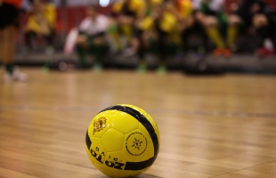 Bajnok a Sim Team