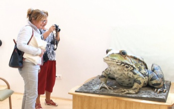 Desedai látogatóközpont: műszakilag már kész
