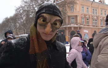 Medveherélés a főtéren