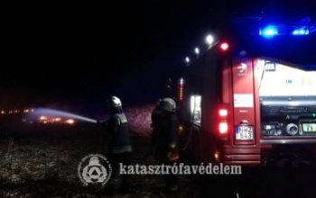 Tarlótüzek Enying mellett