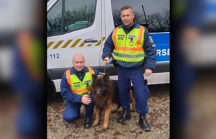 Rendőri segítséggel került biztonságba egy kóbor kutya az M7-esen