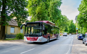 Terelőúton közlekednek a buszok