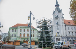 Tüzelő lesz Kaposvár karácsonyfájából