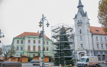 Tüzelő lesz Kaposvár karácsonyfájából