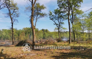 Két és fél hektáron égett az aljnövényzet Darány külterületén