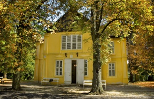 115 éve lett Rippl-Rónaiék otthona a Róma villa