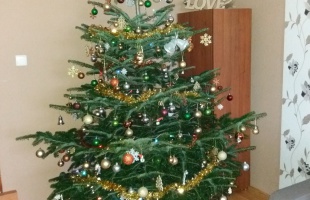 Zsana és Tomi karácsonyfája