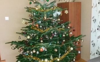 Zsana és Tomi karácsonyfája