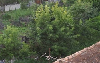 Szem nem marad szárazon – itt az allergiaszezon!