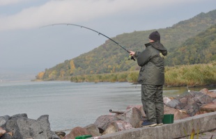 Idén sem lesz tilalom pontyokra a Balatonon