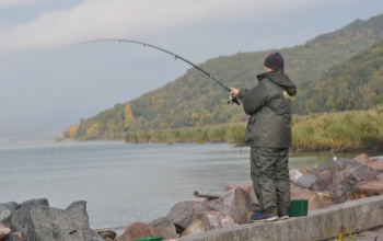 Idén sem lesz tilalom pontyokra a Balatonon