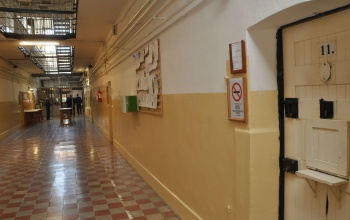 Ítélet született emberölés bűntette ügyében
