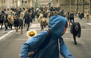 Oscar: rekordszámú nevezés az idegen nyelvű filmeknél
