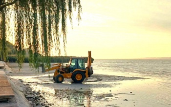 Markoló a Balatonban