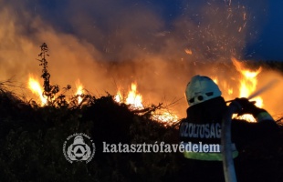 Zöldhulladék égett a gyümölcsösben
