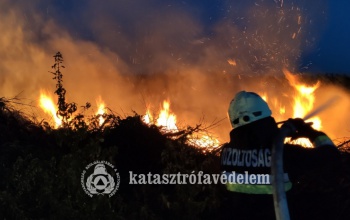 Zöldhulladék égett a gyümölcsösben