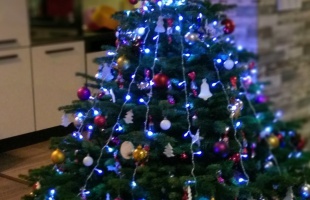 Nagy Hanna és családja karácsonyfája