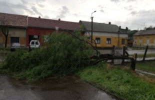 A kárszakértők is segítenek a kaposvári viharkárok felszámolásában