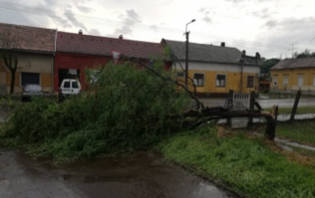 A kárszakértők is segítenek a kaposvári viharkárok felszámolásában