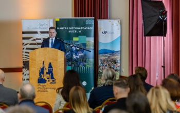 Támogatásokkal és intézkedésekkel segíti az agrártárca a szőlő- és borágazatot