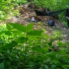 Fotó: Valiora Dinosaur Research Group / VDRG