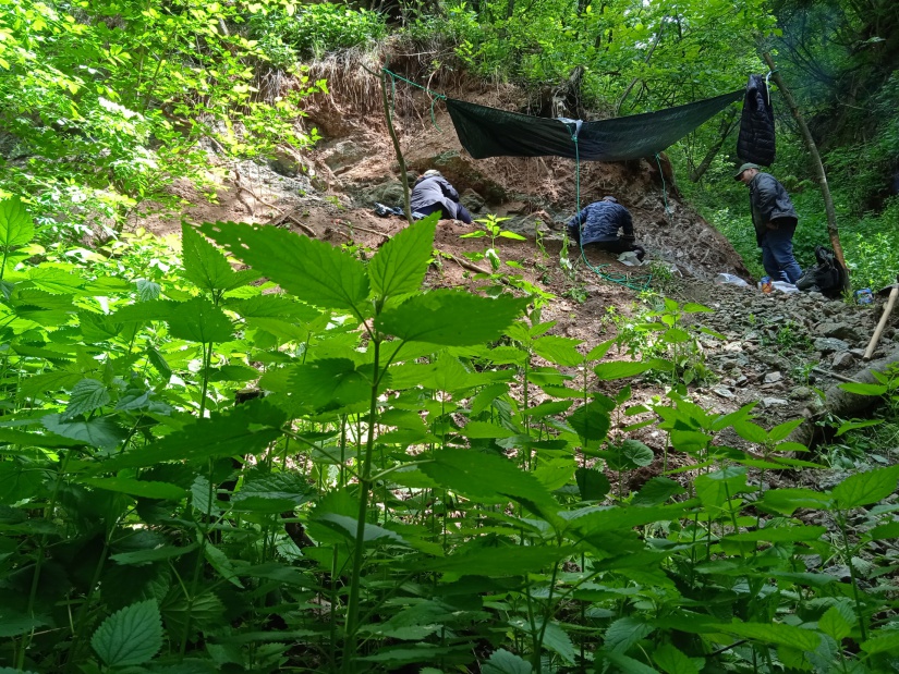 Fotó: Valiora Dinosaur Research Group / VDRG