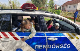 Ovisok ülhettek rendőrautóba