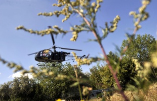 Helikopterről derítik fel a parlagfüvet