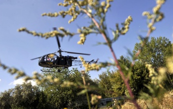 Helikopterről derítik fel a parlagfüvet
