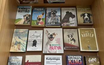 Július a kutyák hónapja a könyvtárban is