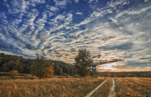 Meteorológia: átlag közeli hőmérséklet és kissé csapadékos idő jellemezte a novembert