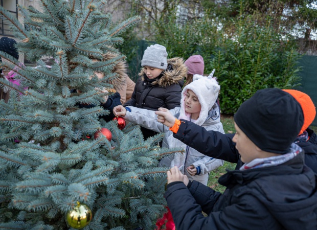 Fenyőfából karácsonyfát varázsoltak a Léva utcában élők