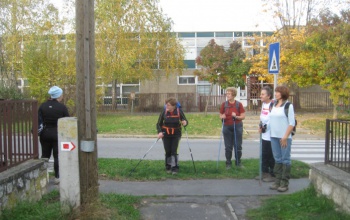Zselici Gyalogtúra ragyogó napsütésben
