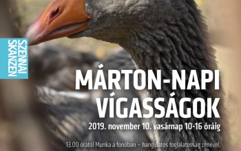 Márton napi forgatag Szennában