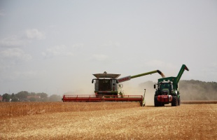 Zajlik az aratás, fokozott figyelmet kér a járművezetőktől  az agrárgazdasági kamara