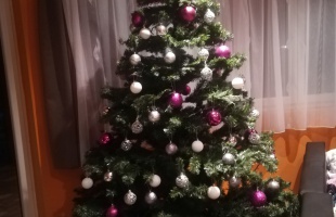 Balogh Kitti karácsonyfája