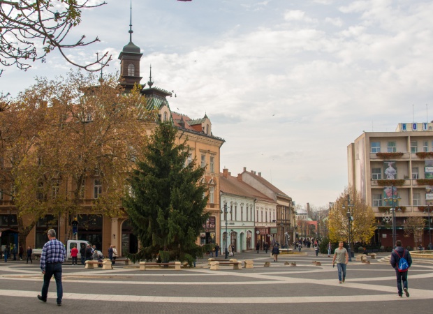 Felállították Kaposvár karácsonyfáját a Kossuth téren
