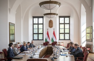 Védelmi Tanácsot alakított a kormány