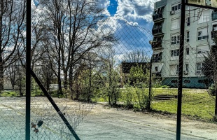 Beton helyett fák