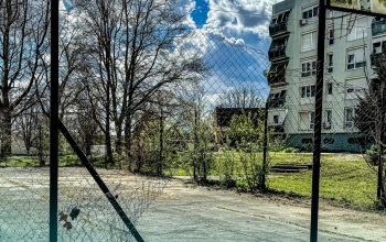 Beton helyett fák