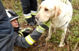 Tűzoltók mesélnek majd az Együdben az állatmentéseikről