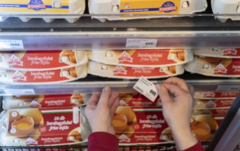 Tojáshiány alakulhat ki az árstop miatt a tojástermelők szerint
