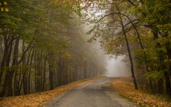 Reggel fagyni fog, de napközben sok napsütésben lesz részünk