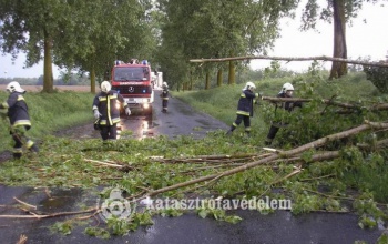 Viharkárok megyeszerte