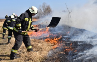 Harc tűzzel a tűz ellen, Csisztapusztán