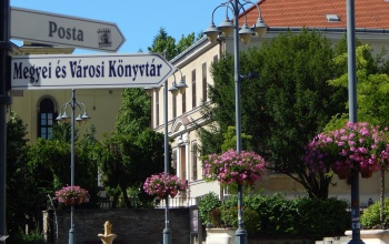 Kaposvár képviseli hazánkat a Virágos Európa versenyen