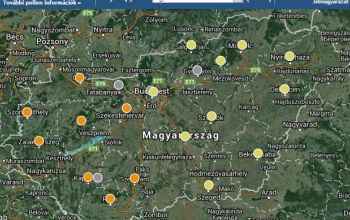 Tüneteket okozhat az éger, valamint a ciprus- és tiszafafélék pollenje