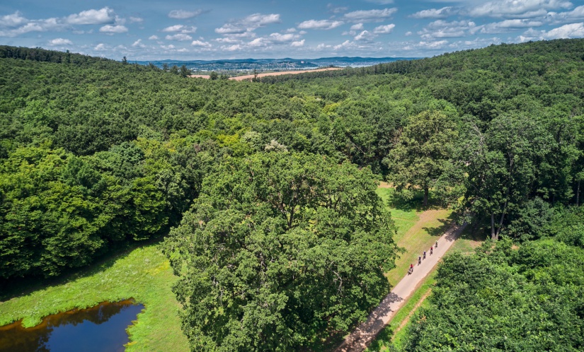 Fotó: Országos Erdészeti Egyesület