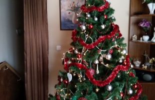 Siposék karácsonyfája